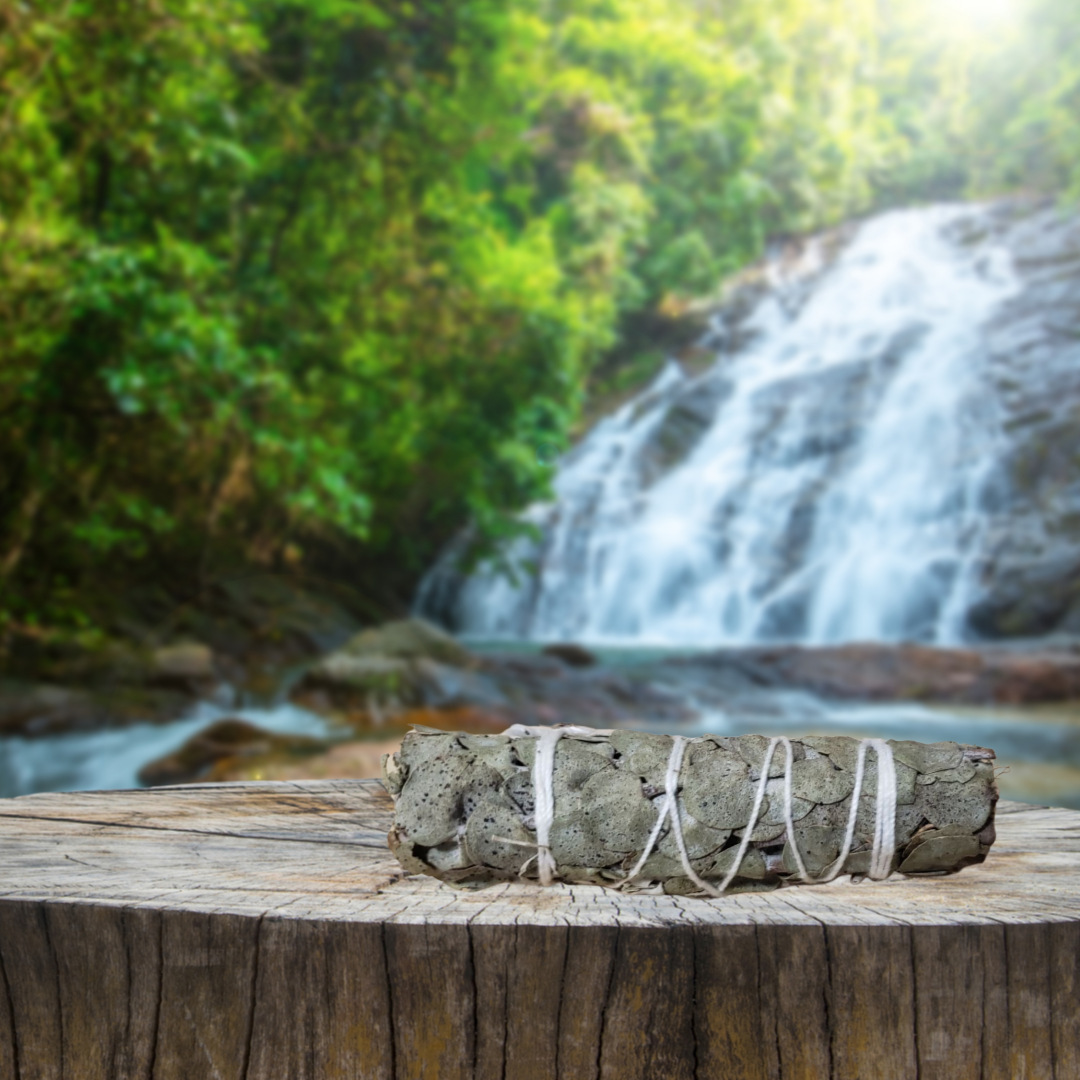 Eucalyptus & White Sage Smudge Stick