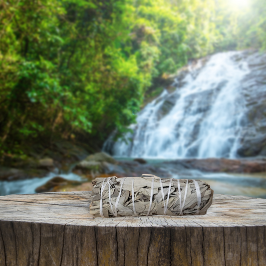 White Sage Smudge Stick